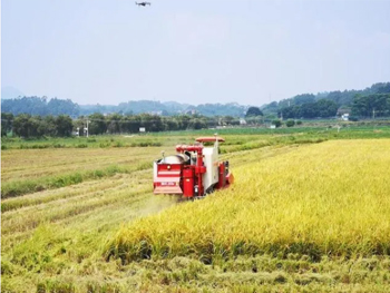 農(nóng)機(jī) 安徽懷寧農(nóng)業(yè)生產(chǎn)的“主力軍”